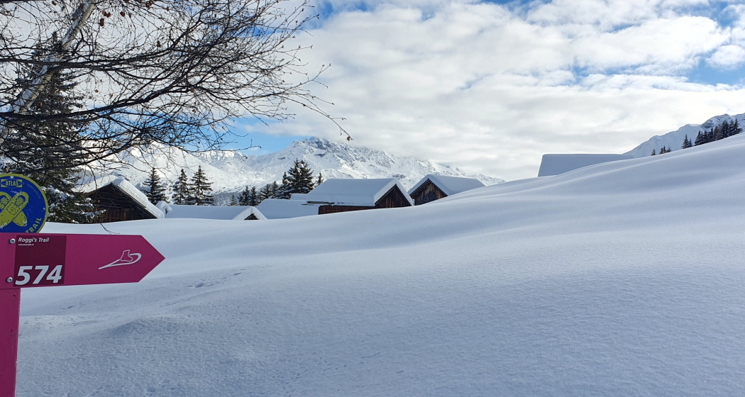 574 Roggi's Trail (oua_55356262_image) 574 Roggi's Trail (oua_55356262_image)
