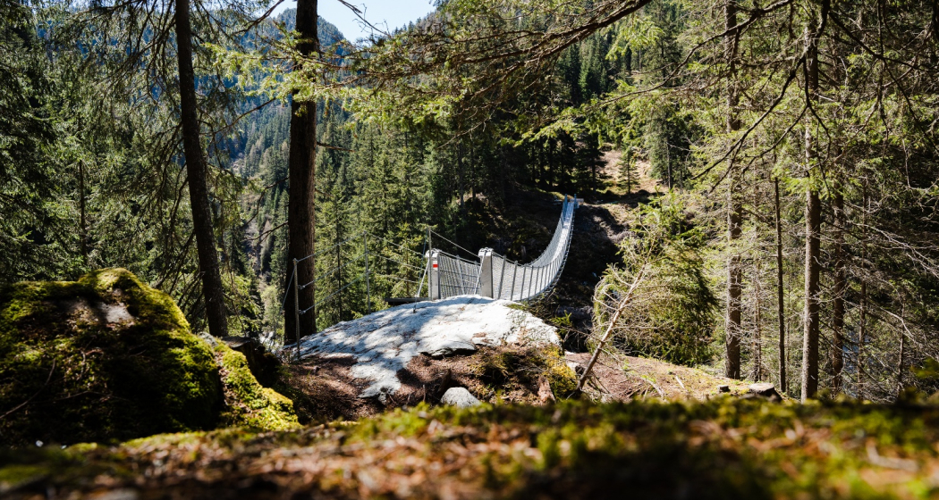 Hängebrücke Waldweg Innerferrera Hängebrücke Waldweg Innerferrera