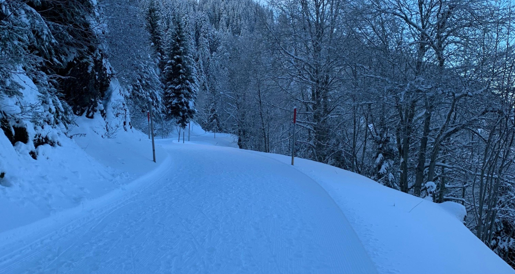 Der gemütliche Winterwanderweg auf den Golerberg