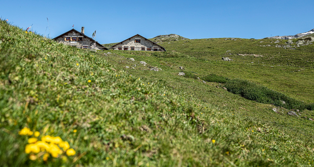Alp Laret, oberhalb von Ftan Alp Laret, oberhalb von Ftan