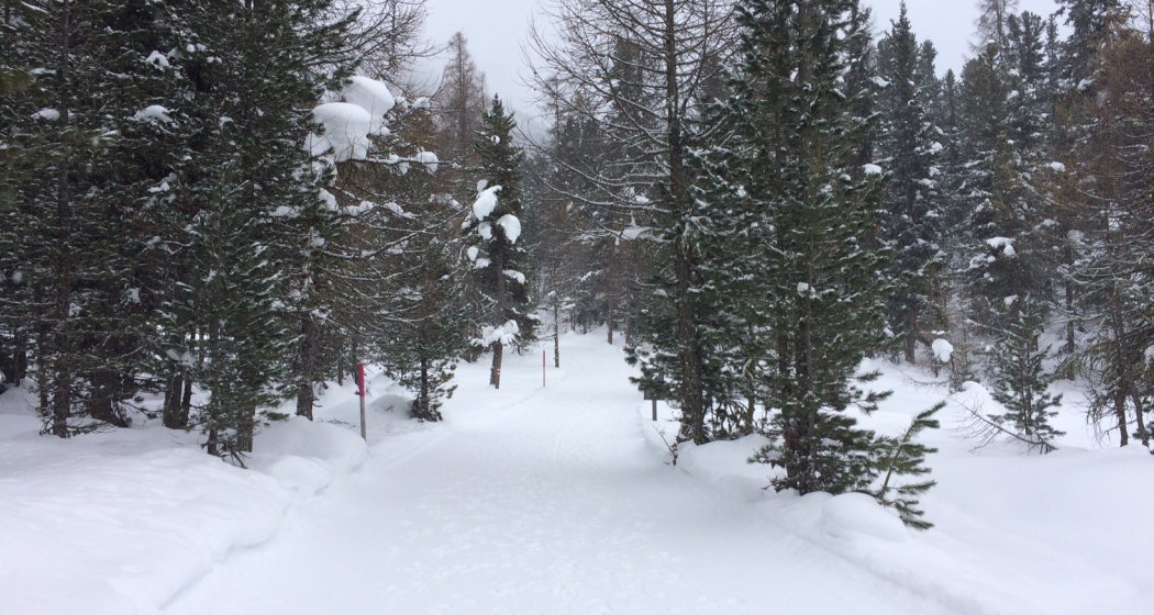 Winterwanderweg Winterwanderweg
