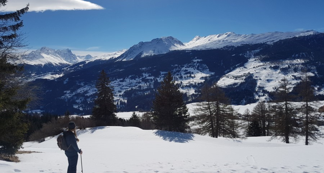 Toller Ausblick auf der Schneeschuhwanderung Val Meltger Toller Ausblick auf der Schneeschuhwanderung Val Meltger
