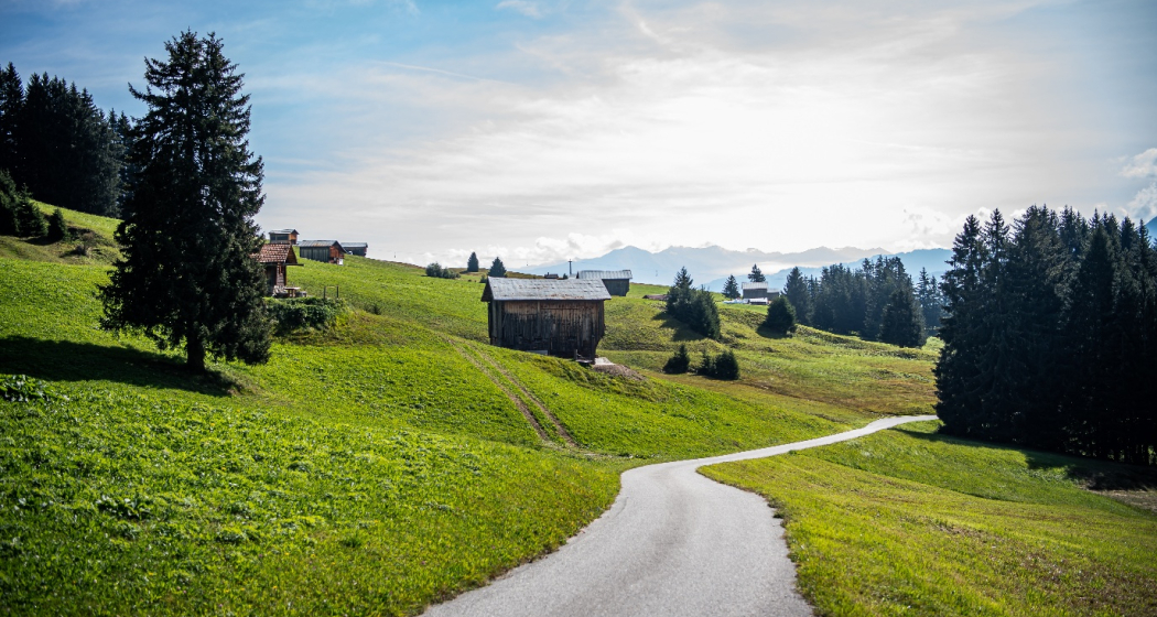 Strasse von Falera Richtung Curnius Strasse von Falera Richtung Curnius