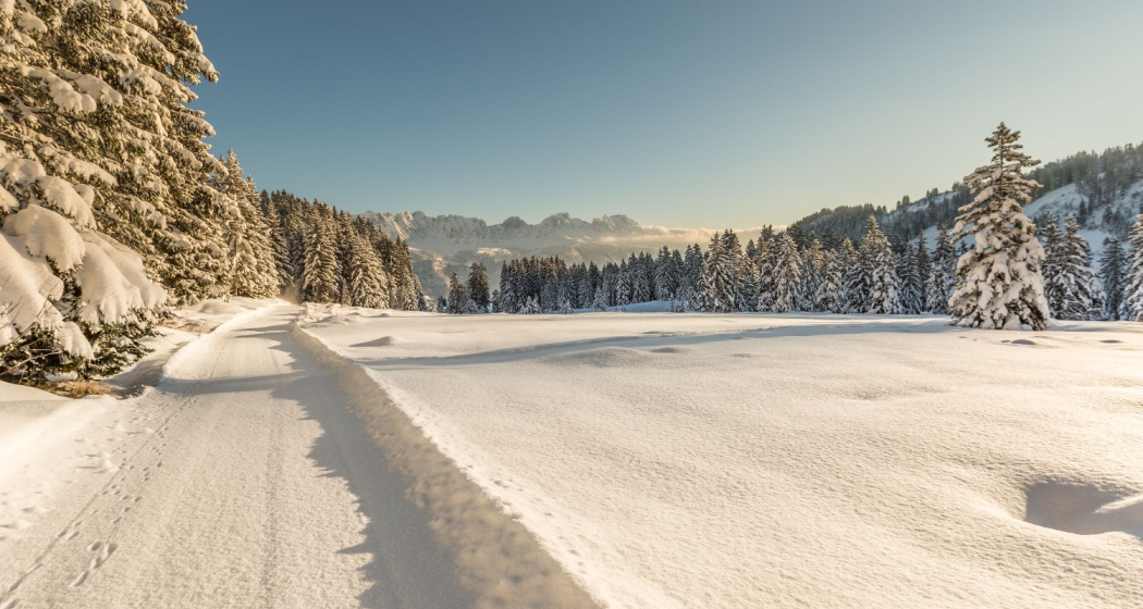 Winterwandern Flumserberg Winterwandern Flumserberg