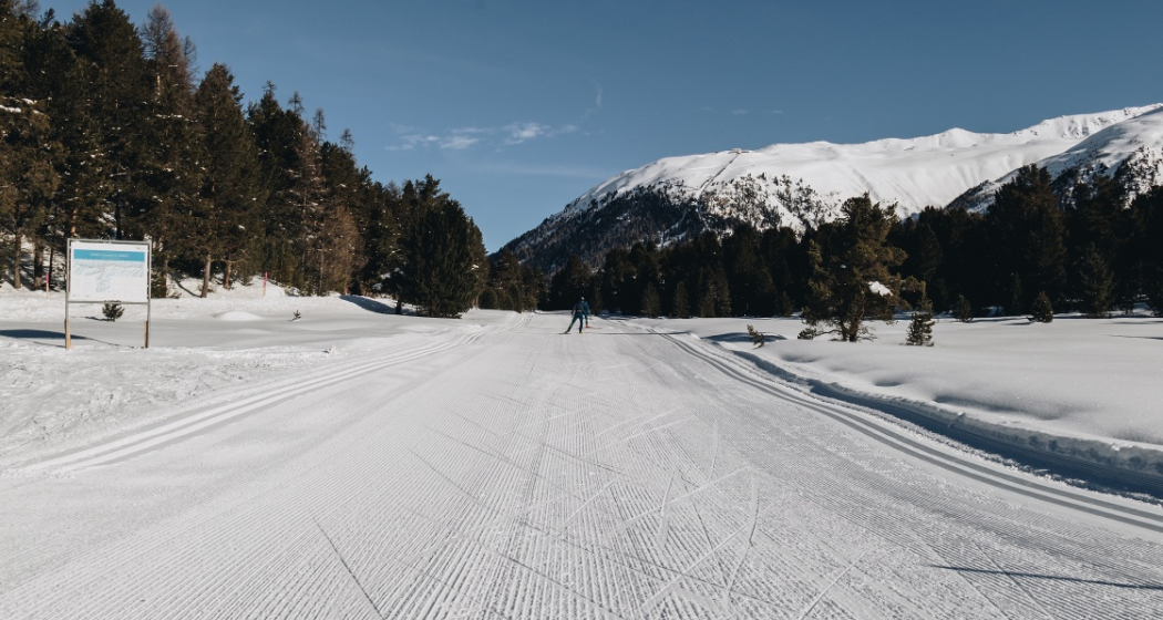 Stazerwald Stazerwald