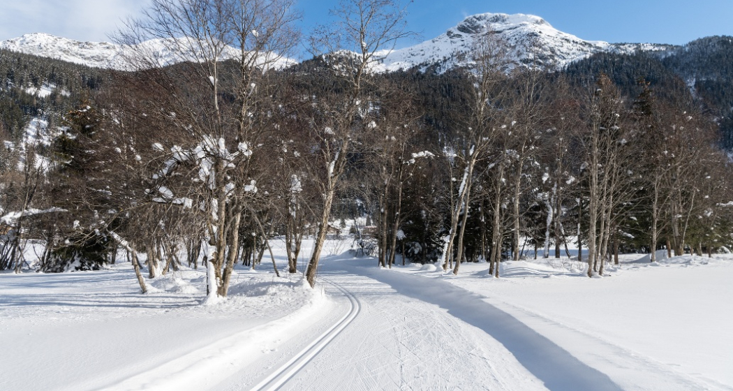 Langlauf_Surses Langlauf_Surses