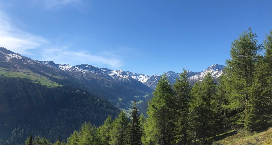 Grüeni Alp Blick ins Sertig Grüeni Alp Blick ins Sertig