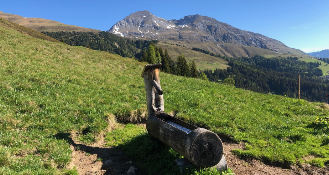 Grüeni Alp Grüeni Alp