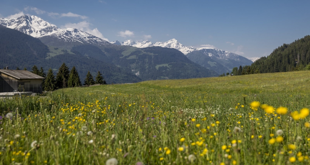 Spazierweg Naul (Kinderwagentauglich) (oua_56645490_image)