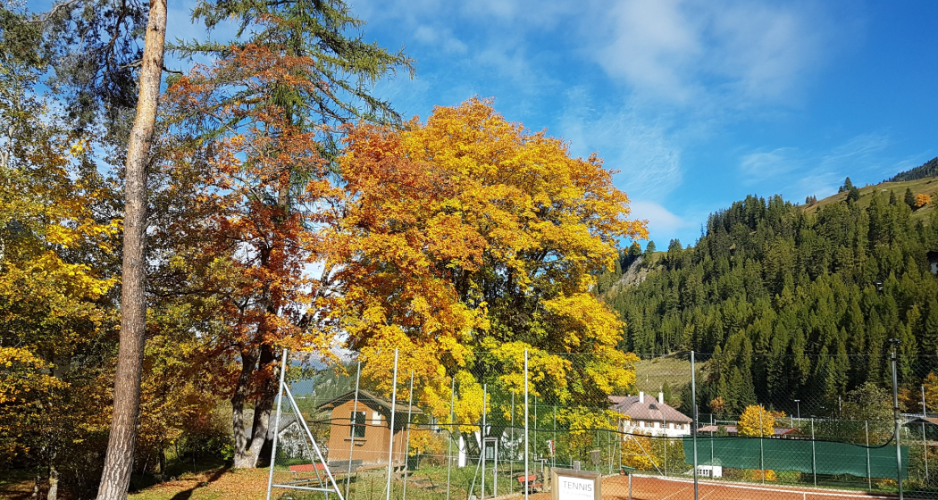 Tennisplatz Bergün Tennisplatz Bergün