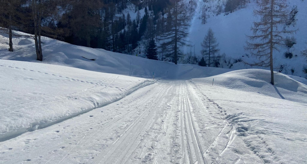 Dischma Uphill (oua_57062445_image) Dischma Uphill (oua_57062445_image)