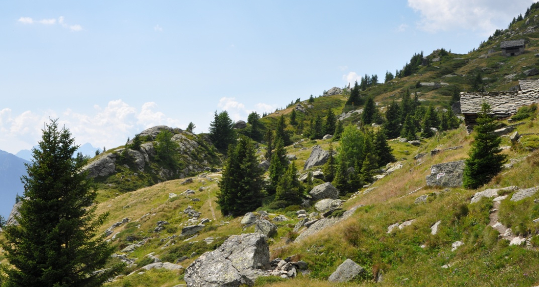 Die Überquerung des Passes da la Duana (oua_57342682_image) Die Überquerung des Passes da la Duana (oua_57342682_image)