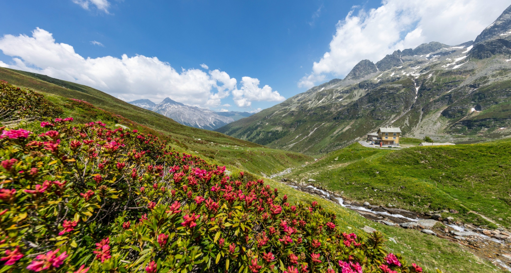 Frühling auf dem Splügenpass Frühling auf dem Splügenpass