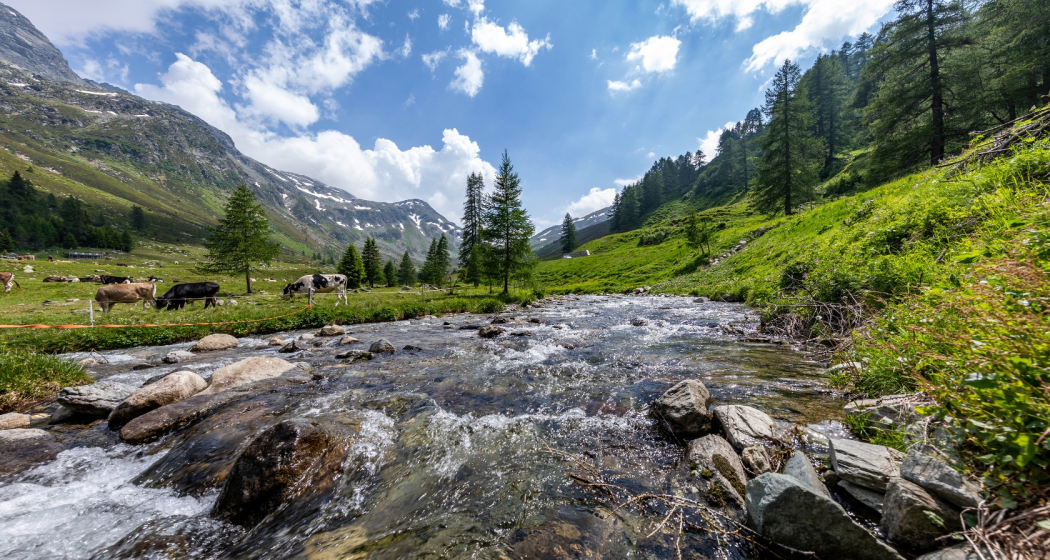 Frühling auf dem Splügenpass Frühling auf dem Splügenpass