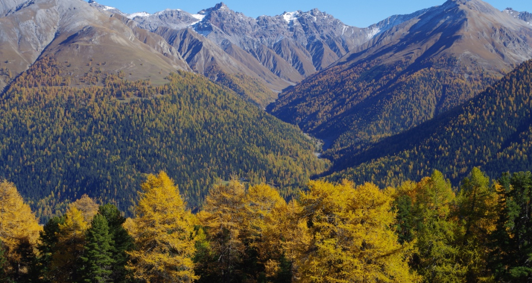 Blick in die Val Trupchun Blick in die Val Trupchun