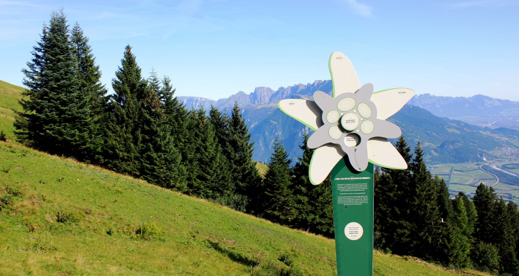 Edelweiss Stelen Edelweiss Stelen
