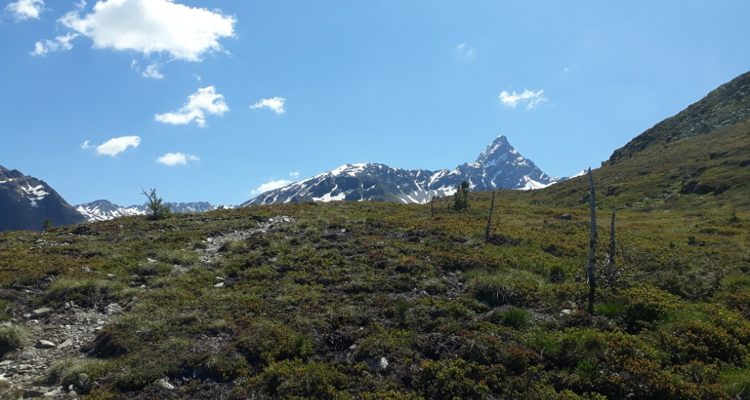 Piz Kesch Piz Kesch
