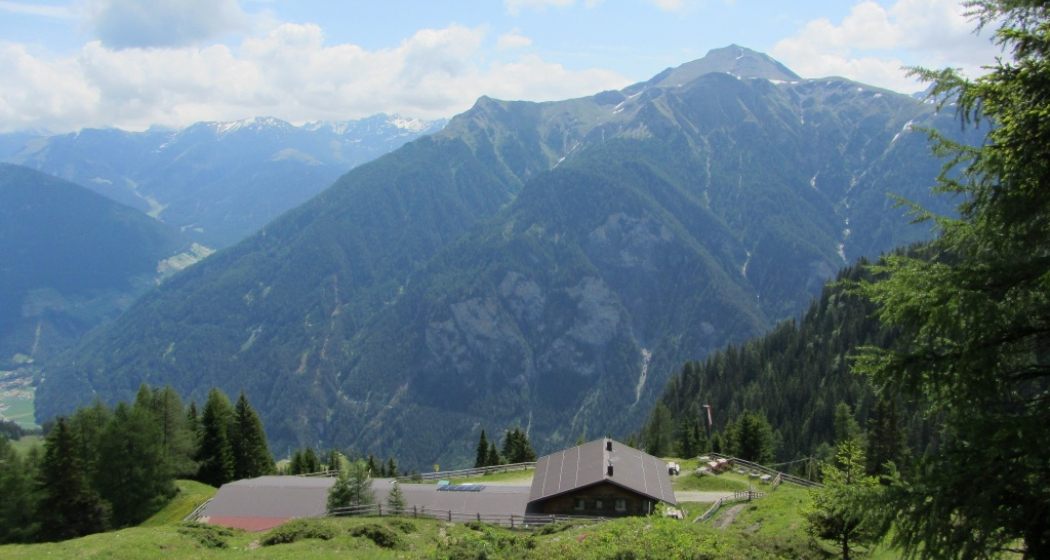 Kobler Alpe Kobler Alpe