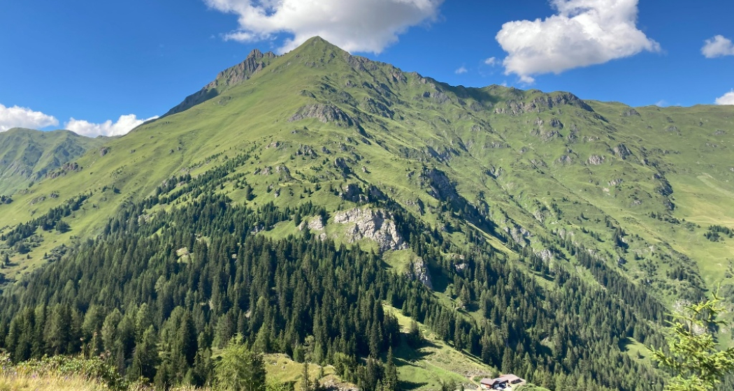 Kobler Alpe Kobler Alpe