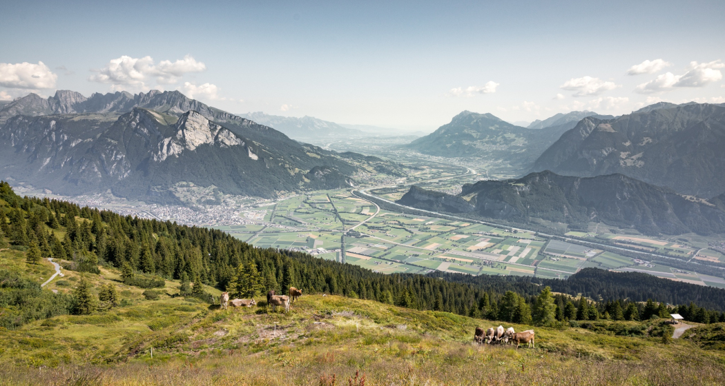 Aussicht auf das St. Galler Rheintal vom Edelweiss Weg aus Aussicht auf das St. Galler Rheintal vom Edelweiss Weg aus