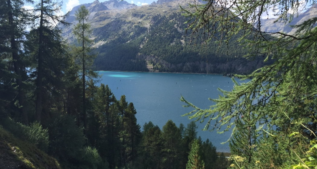 Aussicht auf den Silvaplanersee