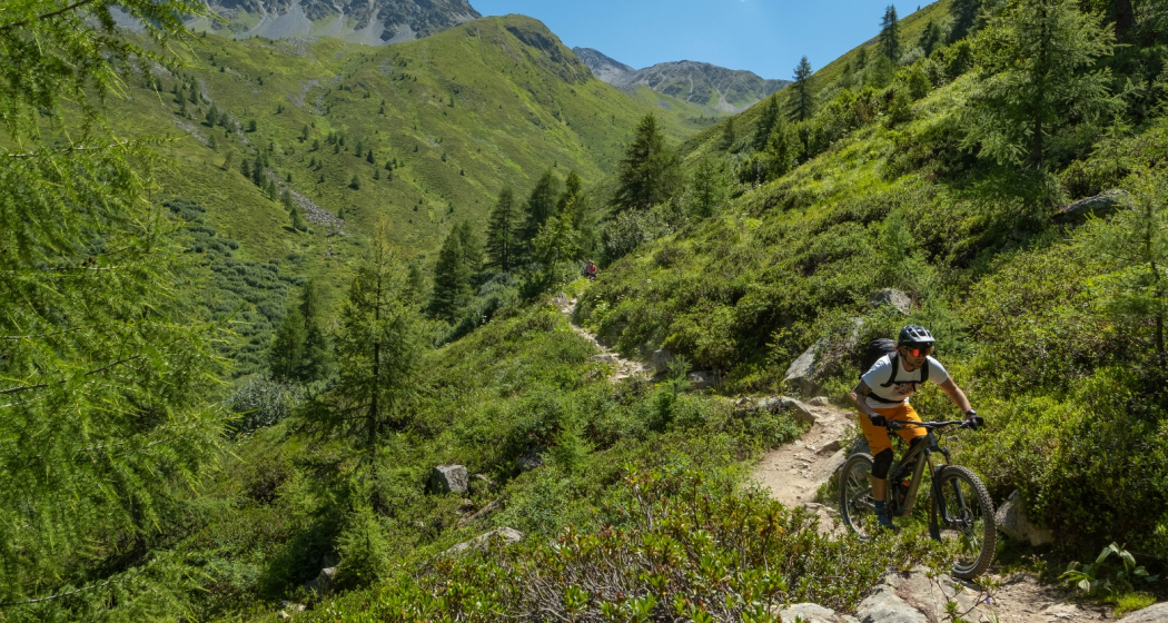 Alps Epic Trail Davos (E-MTB tauglich) (oua_58989211_image) Alps Epic Trail Davos (E-MTB tauglich) (oua_58989211_image)