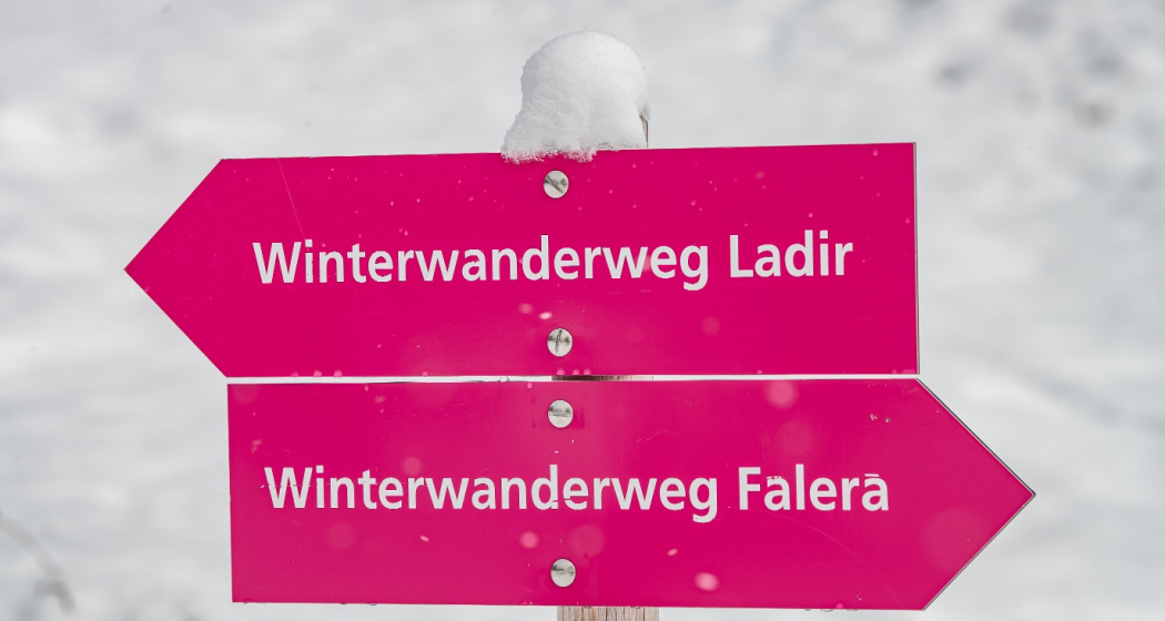 23 Falera - Ladir - Falera (oua_59030155_image) 23 Falera - Ladir - Falera (oua_59030155_image)