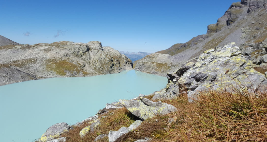 Wildsee Wildsee