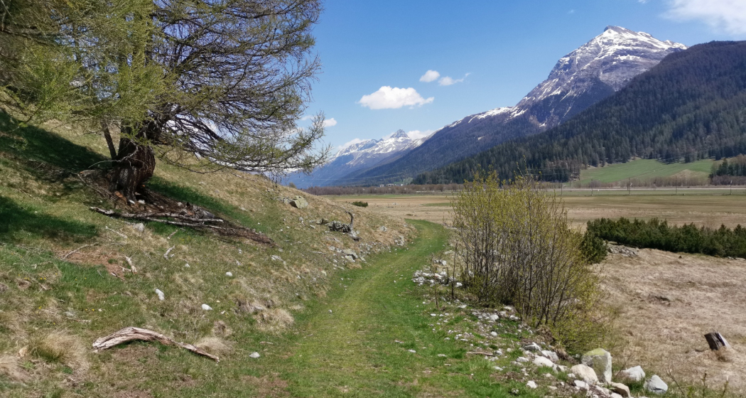 am Hangfuss der Crasta Mora am Hangfuss der Crasta Mora