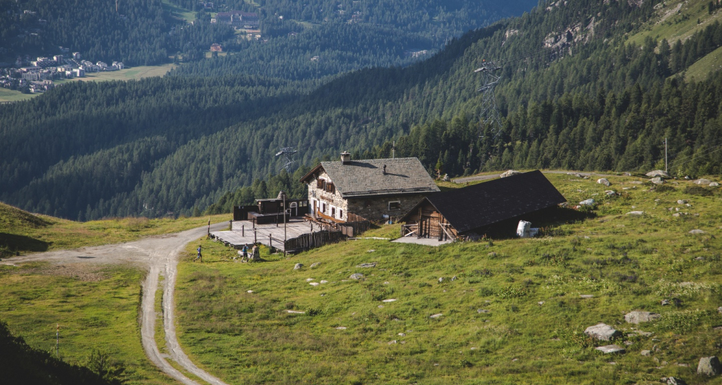 Alpetta Alpetta