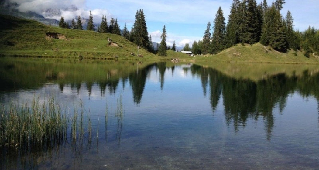 Lag da Laus, Sumvitg (oua_59366239_image)