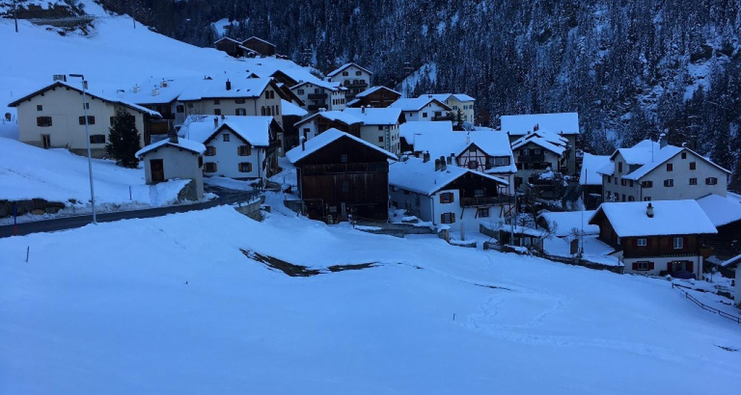Zorten im Winter Zorten im Winter