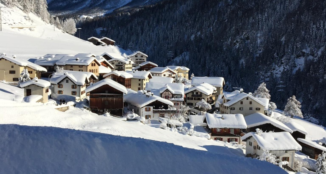 Zorten im Winter Zorten im Winter