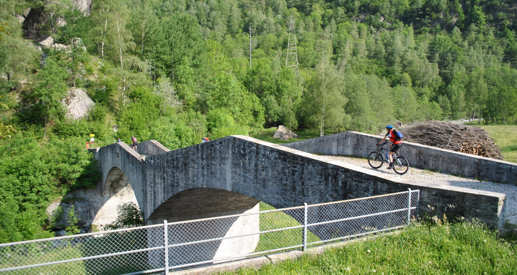 Maloja Express 679 (oua_59848716_image)