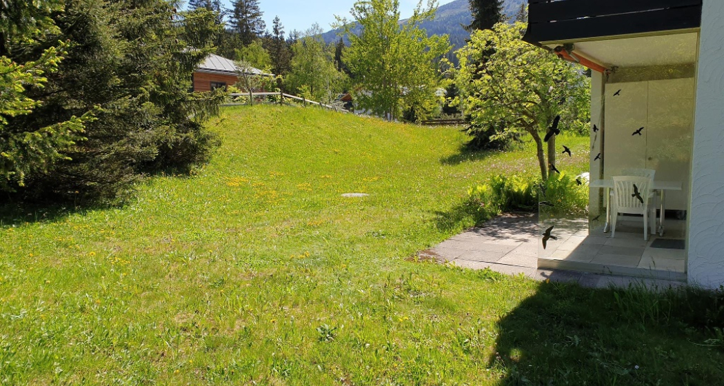 Ferienwohnung Seegarten Aussenansicht Sommer
