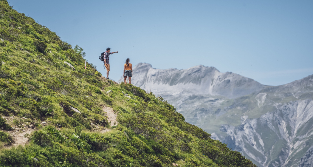 Rinerhorn Rundtour (oua_600082838_image)