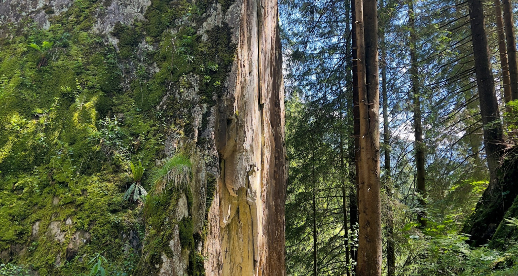 Feuerstelle Tüüfelstei Feuerstelle Tüüfelstei