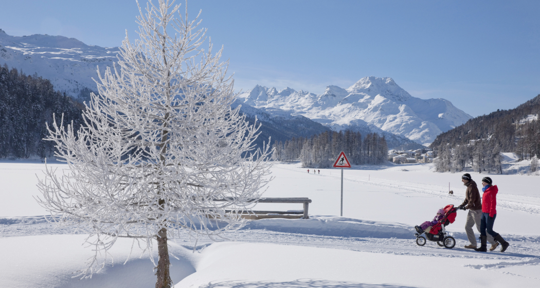 Winterwandern am Champfèrersee