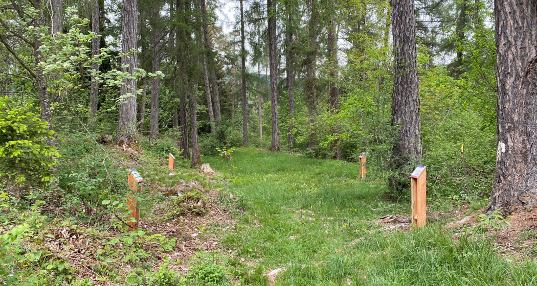 Naturpfad Valendas Naturpfad Valendas