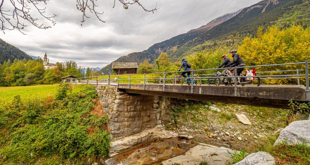 Raetica Classica (oua_601188969_image) Raetica Classica (oua_601188969_image)