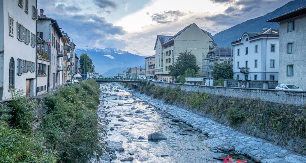 Raetica Classica Patgifica (oua_601189293_image) Raetica Classica Patgifica (oua_601189293_image)