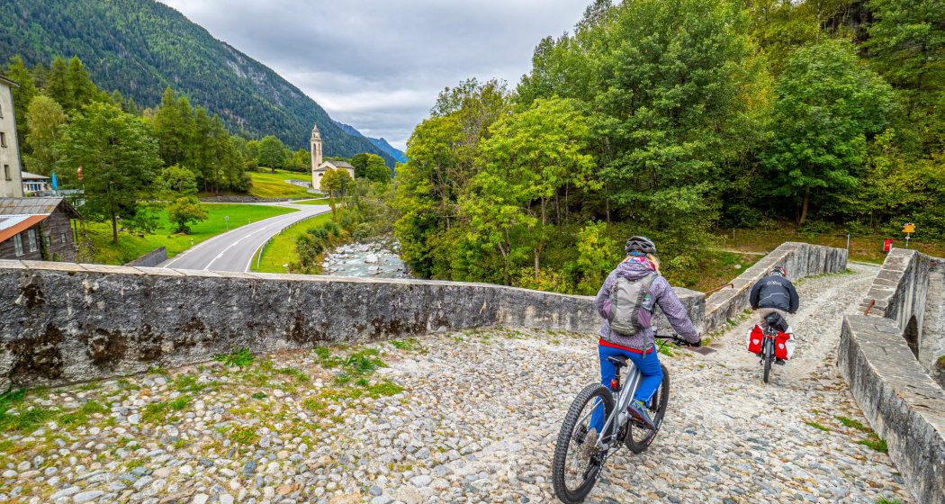 Raetica Classica Patgifica (oua_601189294_image) Raetica Classica Patgifica (oua_601189294_image)