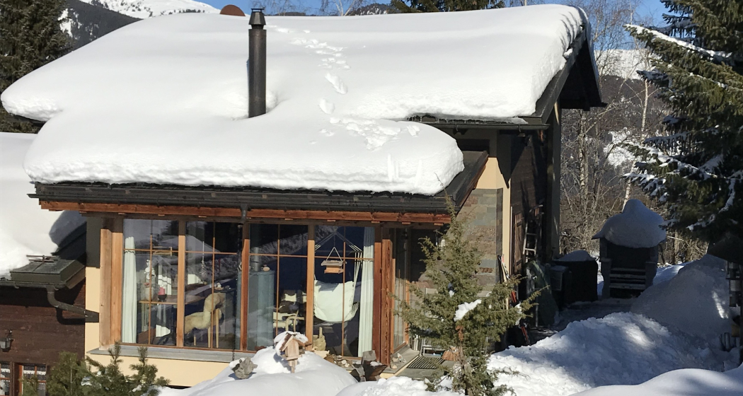 Ferienhaus Aurikel - Ansicht Winter