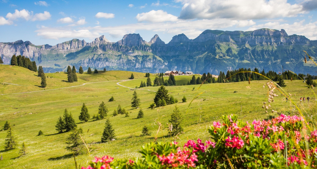 Aussicht auf die Churfirsten Aussicht auf die Churfirsten