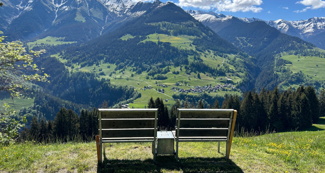 Lesebank "Scansins", Cumbel Lesebank "Scansins", Cumbel