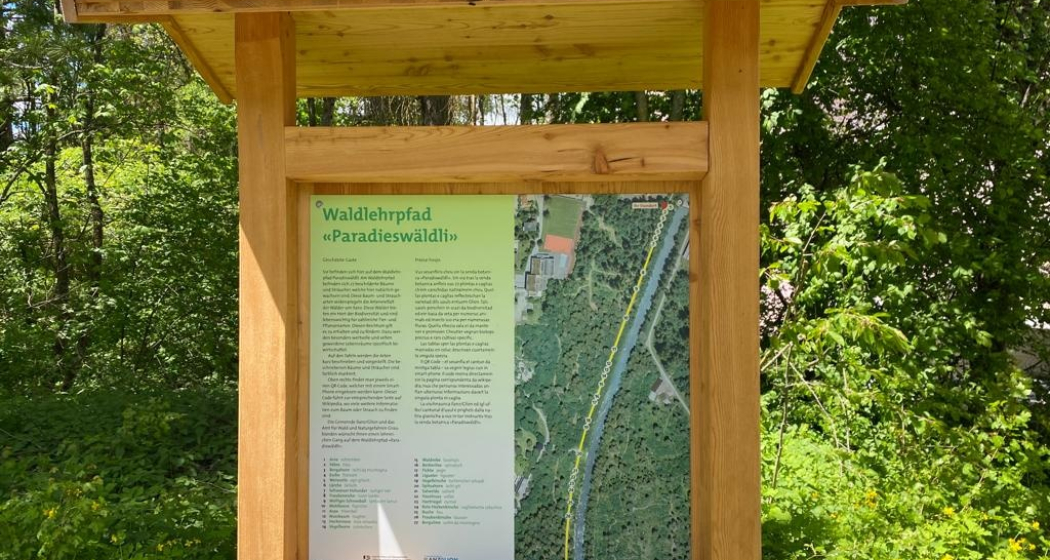 Waldlehrpfad Sommer Waldlehrpfad Sommer