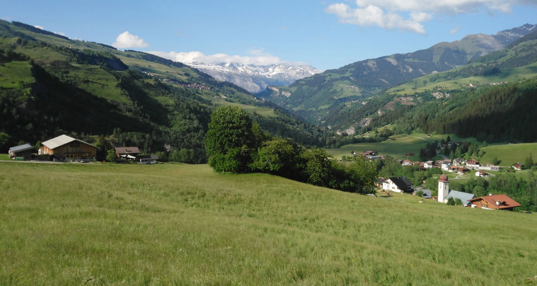 Buontads, Surcasti (oua_60188052_image) Buontads, Surcasti (oua_60188052_image)