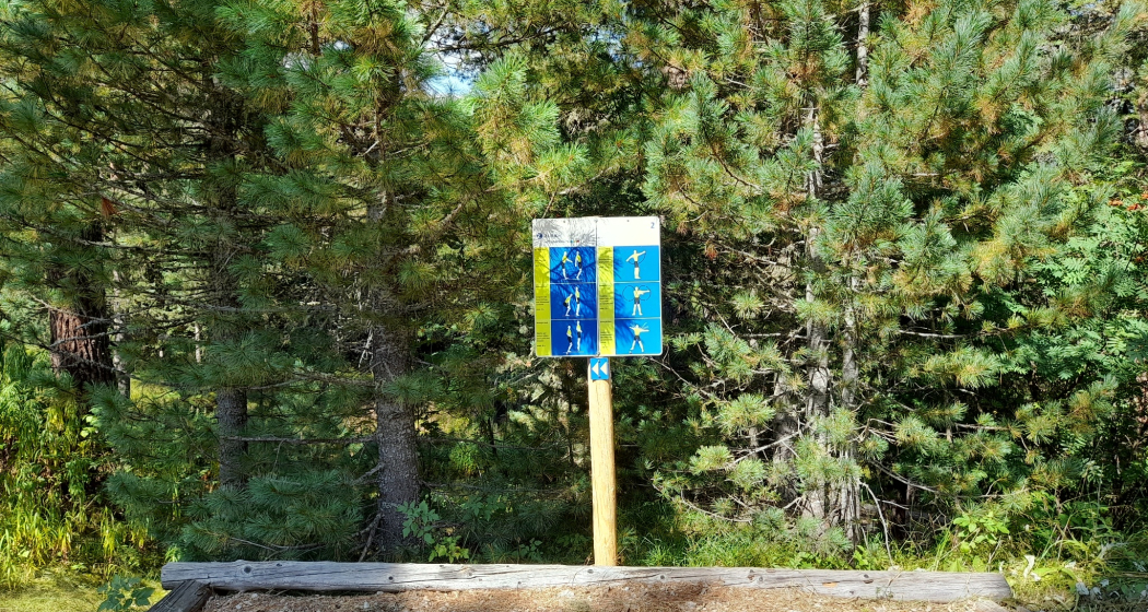 Vita Parcours Celerina (oua_602835040_image) Vita Parcours Celerina (oua_602835040_image)