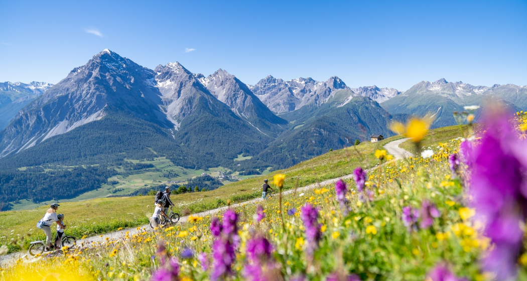 Scuol – Motta Naluns 964 (oua_60299071_image) Scuol – Motta Naluns 964 (oua_60299071_image)
