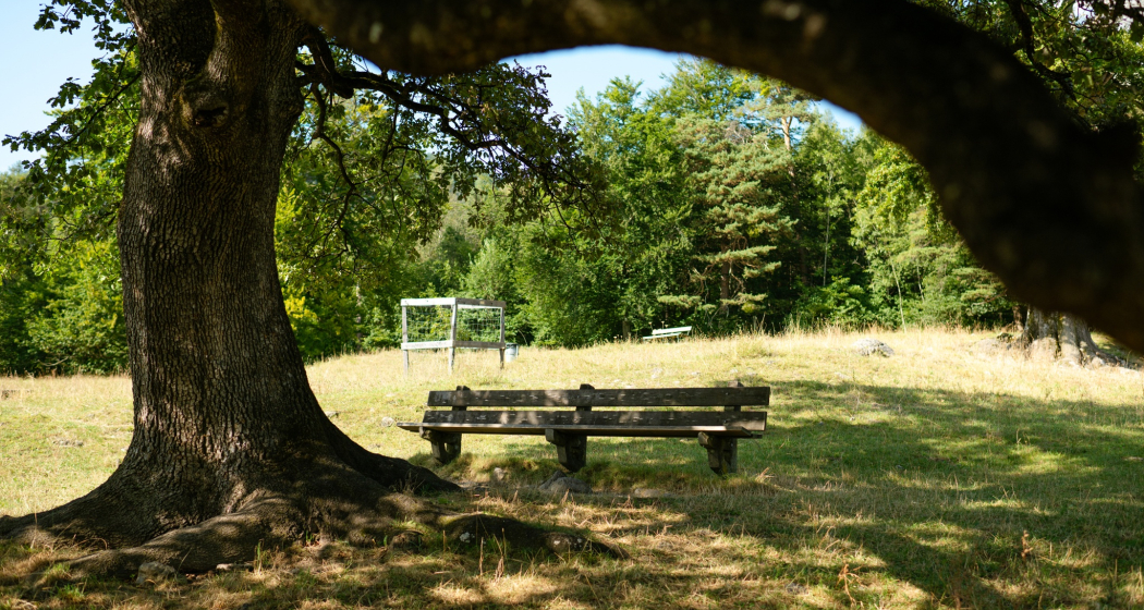 Ruhebänkli Heidibrunnen Ruhebänkli Heidibrunnen